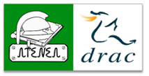 Logos Atenea i Drac